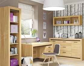 Практичная мебель для частных / офисных кабинетов OM 210