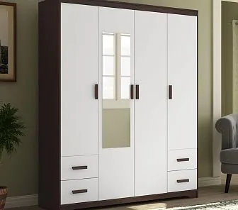 Современный распашной шкаф  RF517