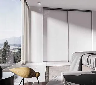 Встроенный двухдверный шкаф-купе D323