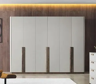 Просторный распашной шкаф RF489