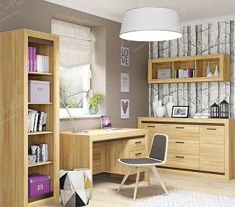 Практичная мебель для частных / офисных кабинетов OM 210