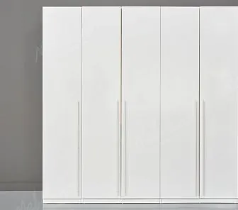 Вместительный распашной шкаф RF208