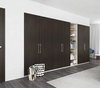 Встраиваемый распашной шкаф для гостиной и спальни, D470