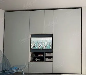 Функциональный встроенный шкаф-купе D253