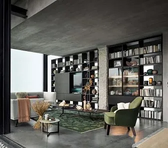 Встроенные книжные стеллажи в современном дизайне BK227