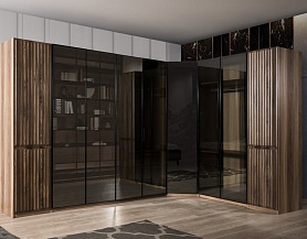 Корпусный шкаф в интерьер гостиной, стекло, шпон, классика, арт CS230