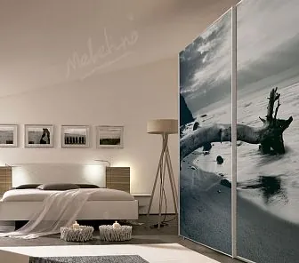 Двухдверный шкаф-купе с черно-белой фотопечатью PC404