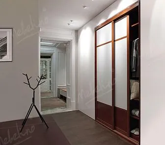 Встроенный шкаф-купе в современном стиле D399