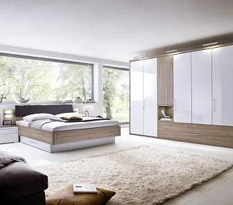 Оригинальный распашной шкаф  RF36