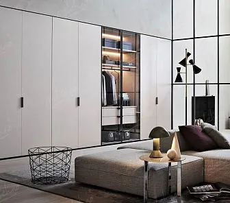 Распашной шкаф в нишу со стеклянной секцией RF106