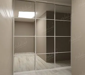 Встроенный зеркальный шкаф-купе D248