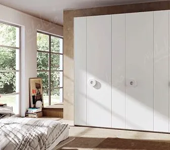 Высокий распашной шкаф RF240