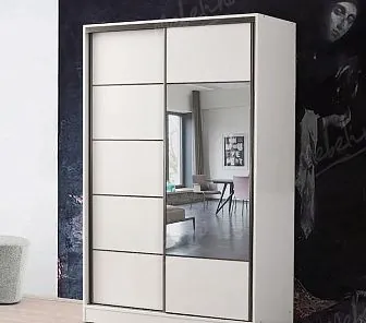 Модный корпусный шкаф в кабинеты, гостиные SM 505