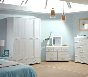 Высокий распашной шкаф из 2-х секций RF152