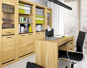 Элитный гарнитур мебели для офисного кабинета OM 209