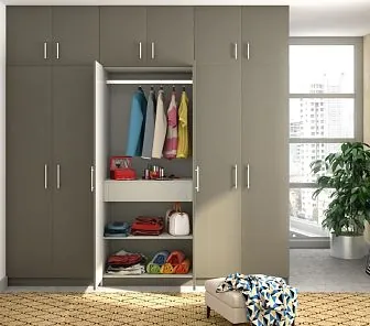 Гардеробный распашной шкаф  RF482