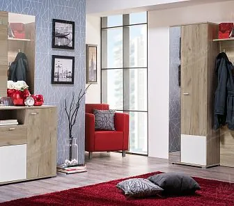 Прихожая из шпона с вставками из мдф эмали. Е159