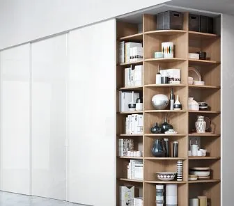 Встраиваемый шкаф-купе с боковыми полками D354