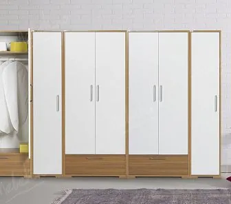 Функциональный распашной шкаф RF223