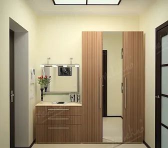 Прихожая в нишу с зеркалом во весь рост Е188