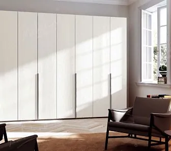 Распашной шкаф на всю стену в гостинную RF242