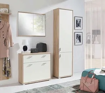 Функциональная мебель из эмали и шпона  Е140