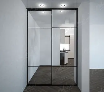 Узкий двустворчатый шкаф-купе, встройка D249