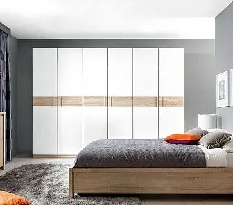 Стильный распашной шкаф RF259