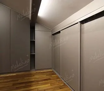 Матовый шкаф-купе, встройка до потолка D331